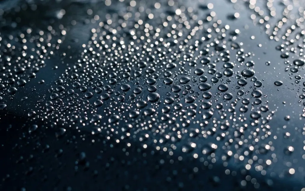 Water droplets beaded on a dark surface